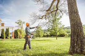 Lawn Drainage Solutions in Ruckersville, VA