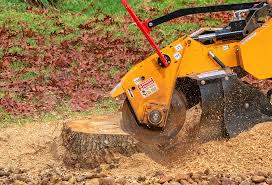 Best Lot and Land Clearing  in Ruckersville, VA